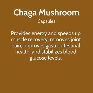 Chaga Mushroom Evergreen Wellness